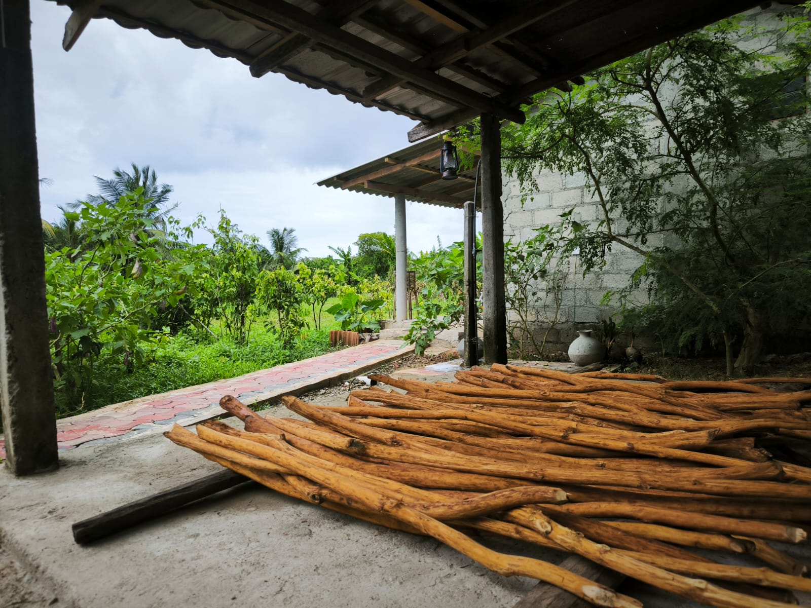 Cinnamon wood